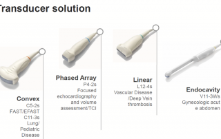 Mindray Ultrasound TE7