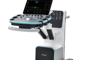 Mindray Resona I9