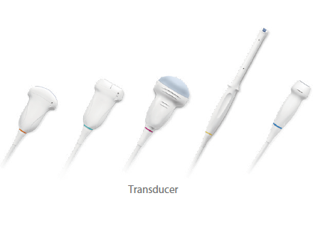 Transducer family